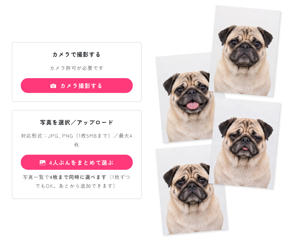ペットの画像のアップロード画面