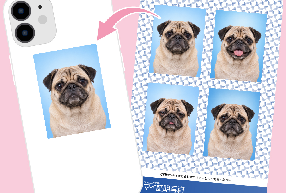 ペット証明写真スマホデコ